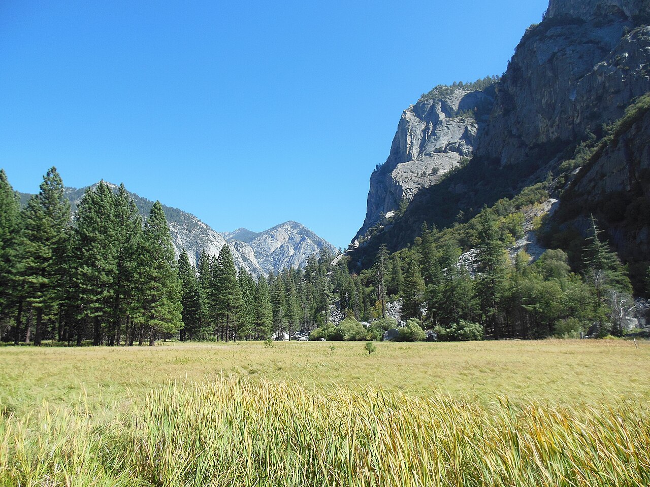 Zumwalt Meadow and granite walls in Kings Canyon National Park