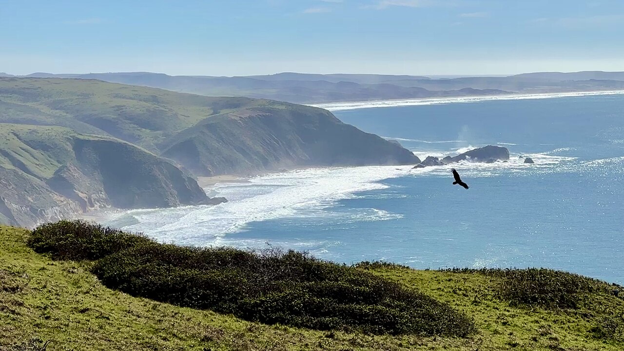 Pacific coastline at Point Reyes National Seashore