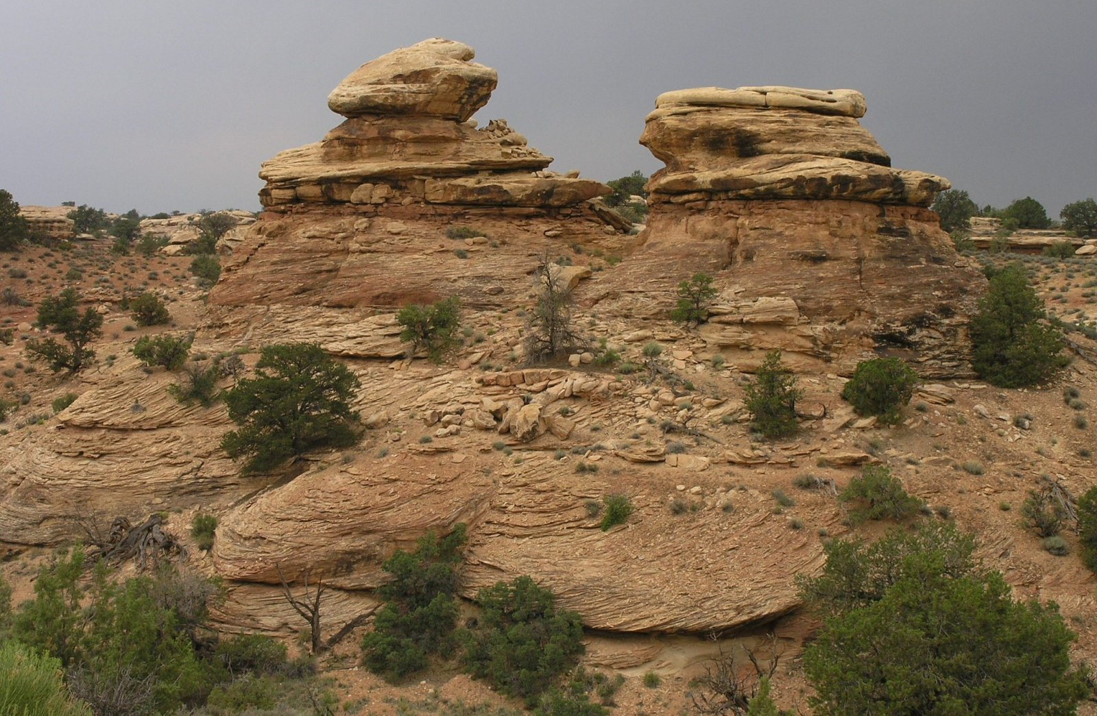 Sandstone formations in the Needles District of Canyonlands National Park
