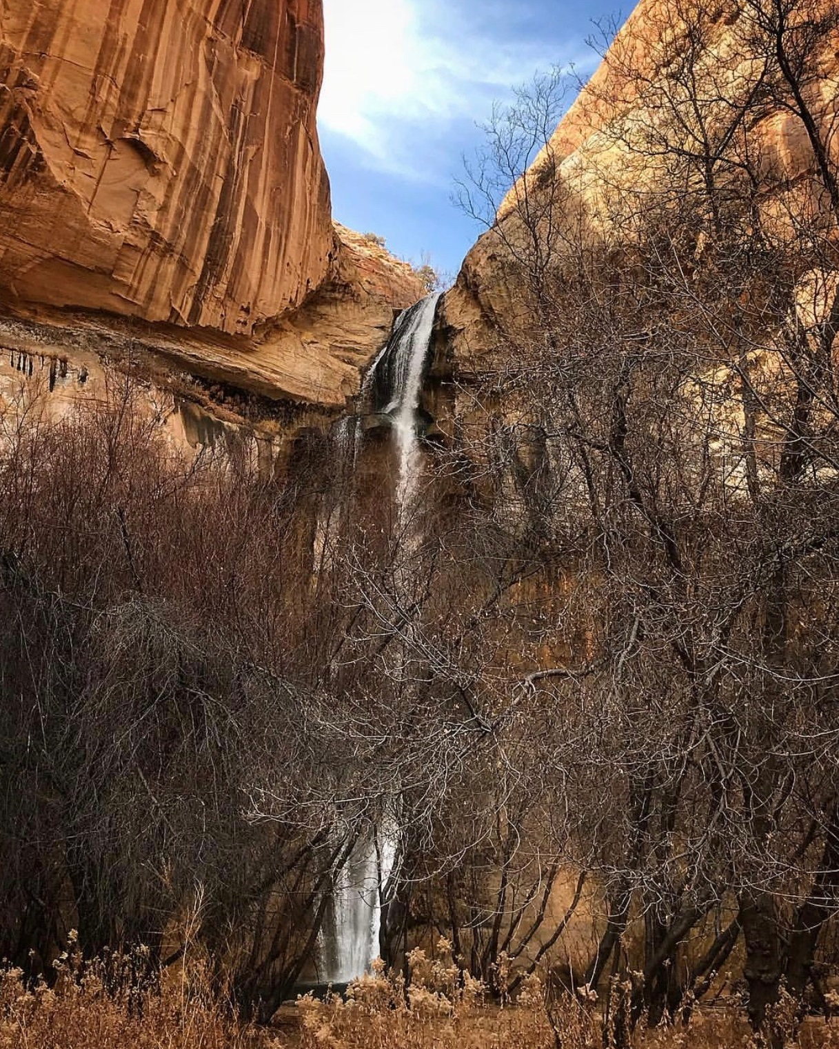 Lower Calf Creek Falls dropping through a sandstone alcove in Grand Staircase-Escalante