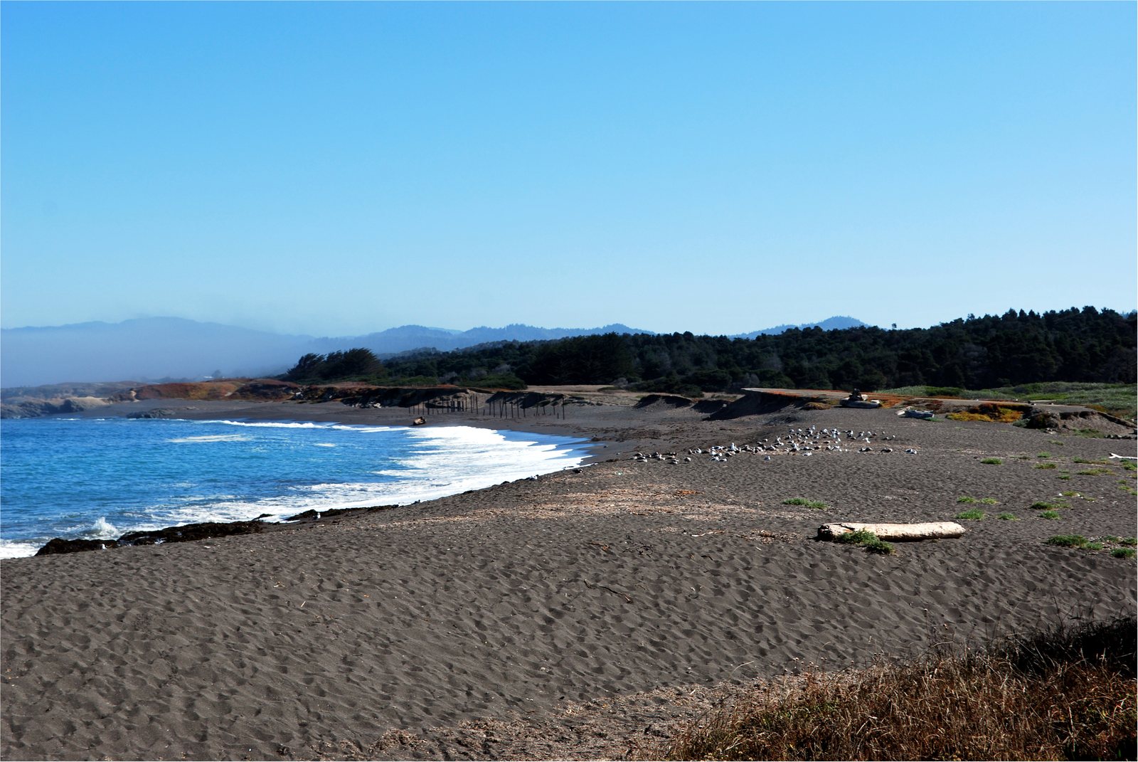 Beach and Pacific shoreline at MacKerricher State Park near Fort Bragg