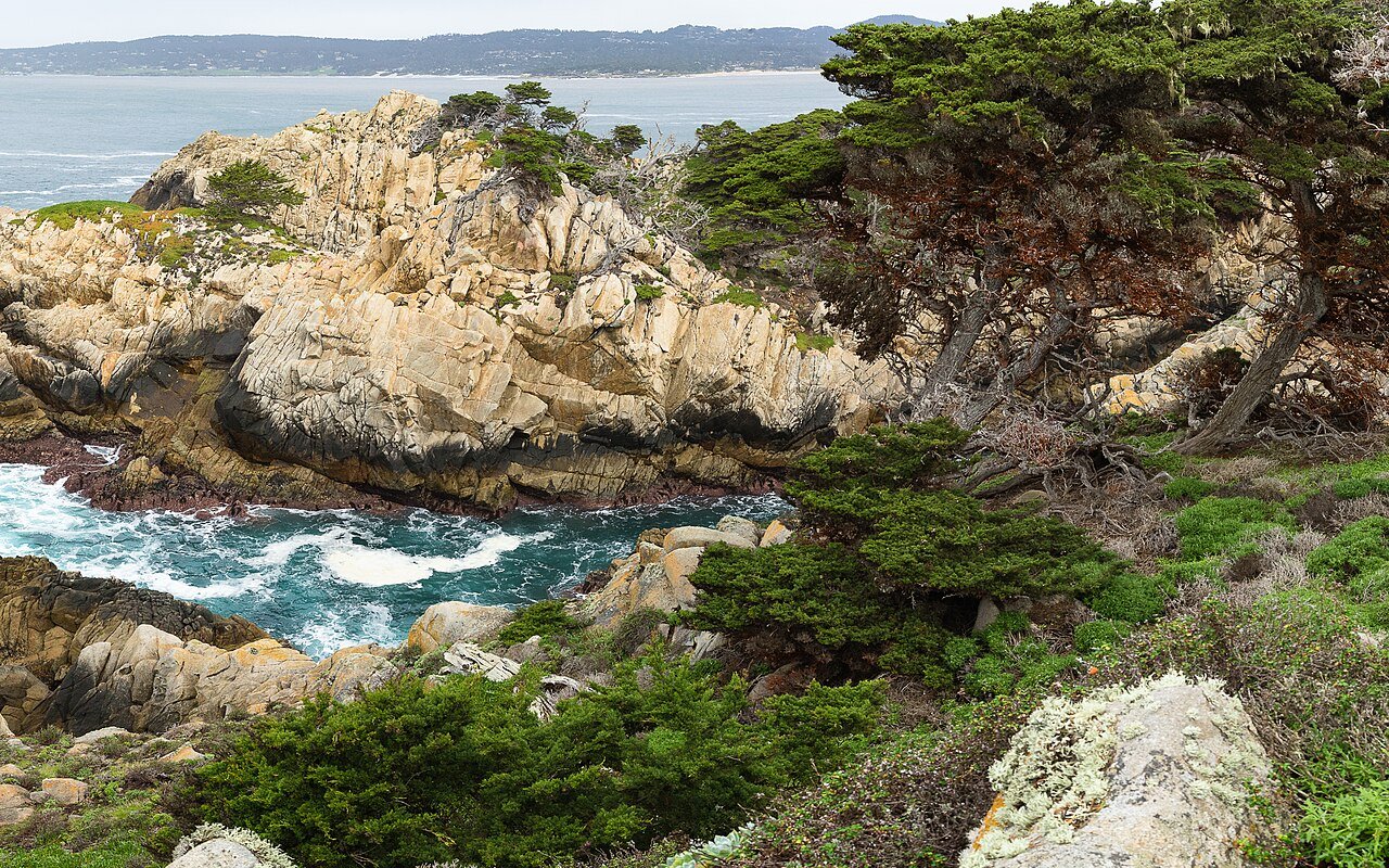 Rocky coves and coastal vegetation at Point Lobos State Natural Reserve