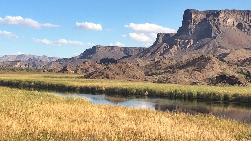 Wetlands and desert cliffs at Bill Williams River National Wildlife Refuge, Arizona