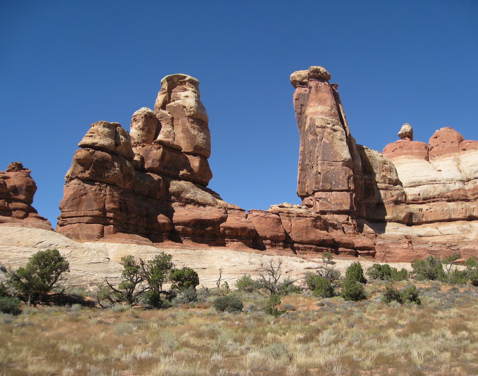 Sandstone spires in the Needles District of Canyonlands National Park, Utah