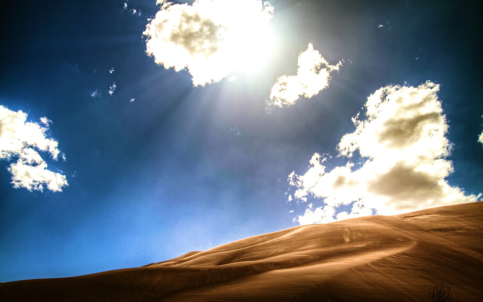 Sunlit dunes at Great Sand Dunes National Park and Preserve