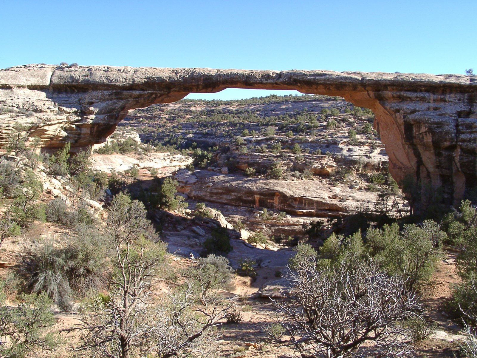 Owachomo Bridge at Natural Bridges National Monument